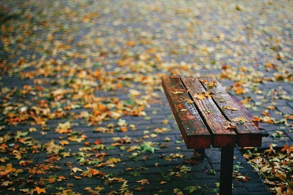 秋天的雨是寂寞的,空虚的.