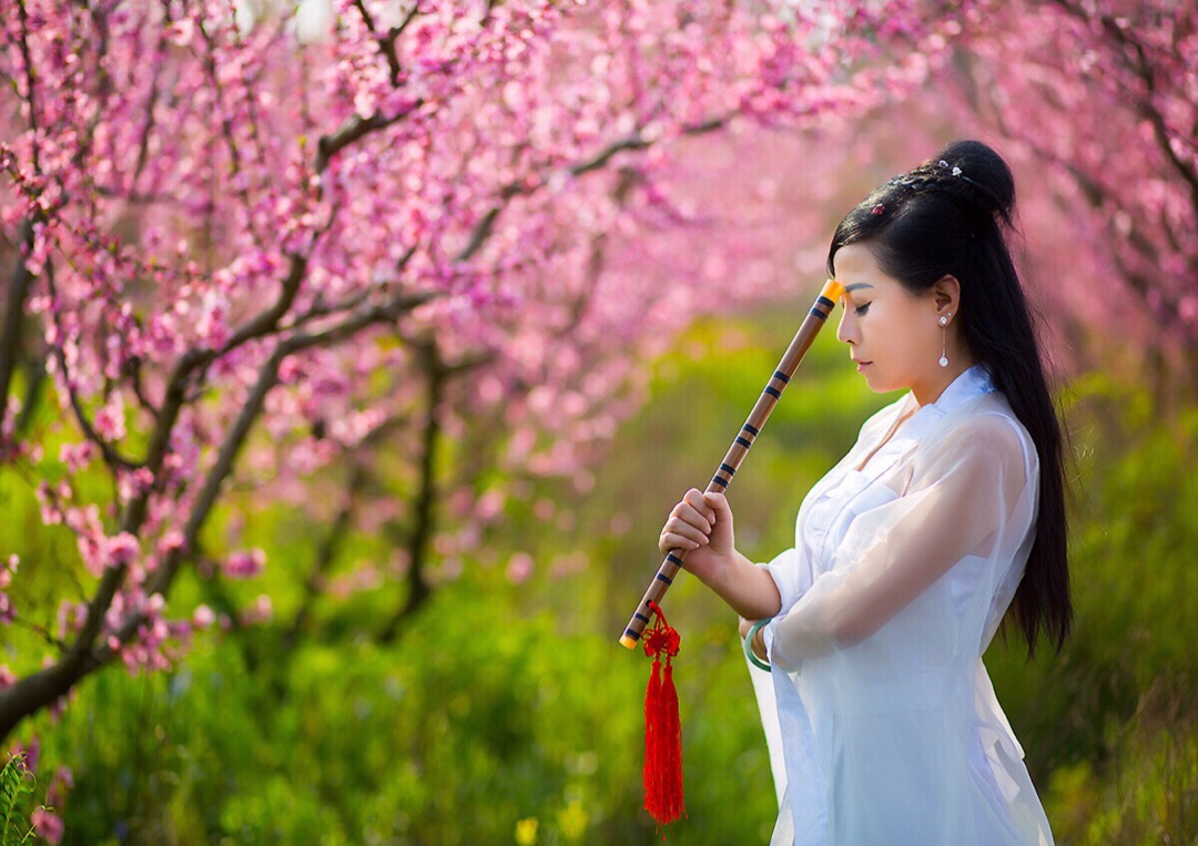 杨柳千寻色,桃花一苑芳