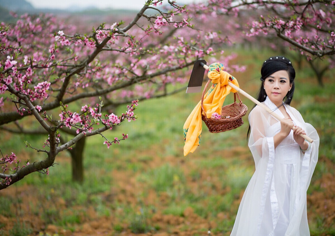 杨柳千寻色,桃花一苑芳