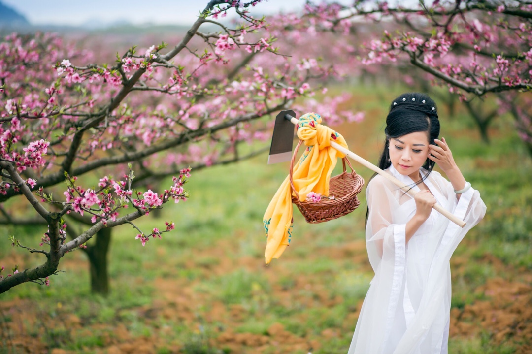 杨柳千寻色,桃花一苑芳