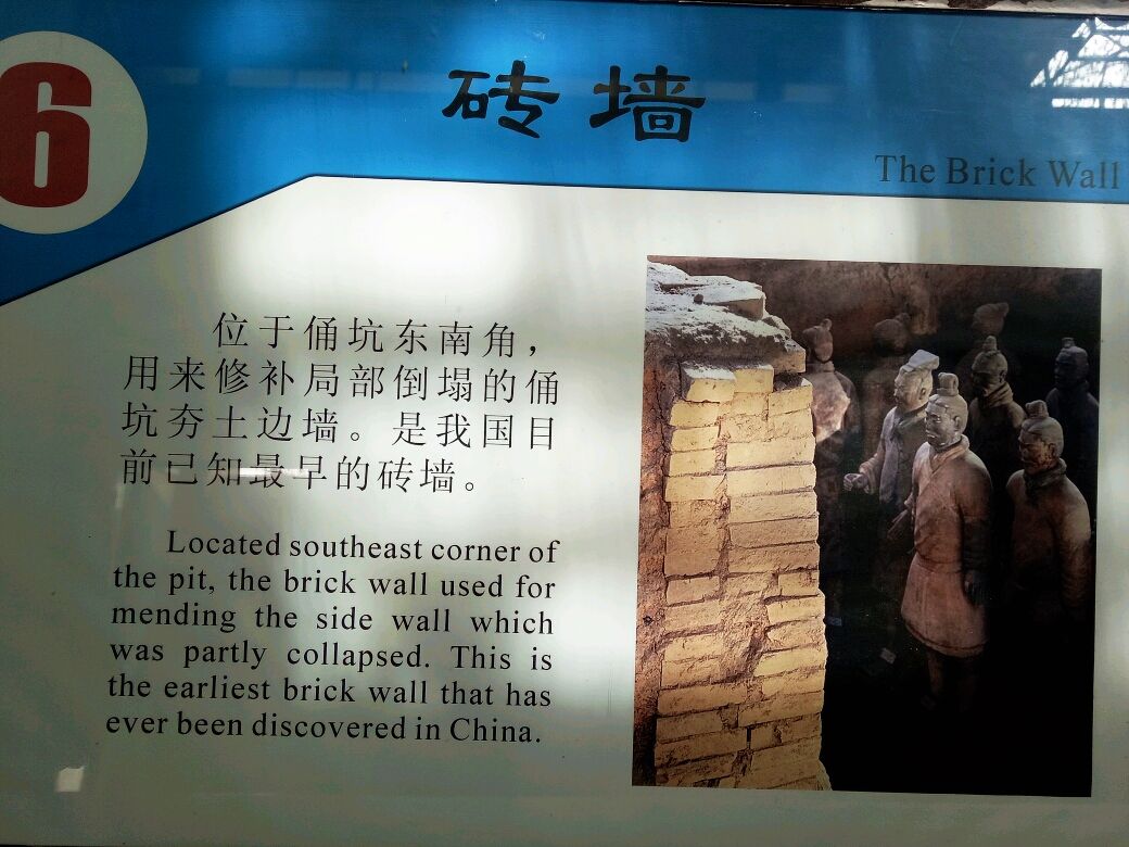 兵马俑6号简介
