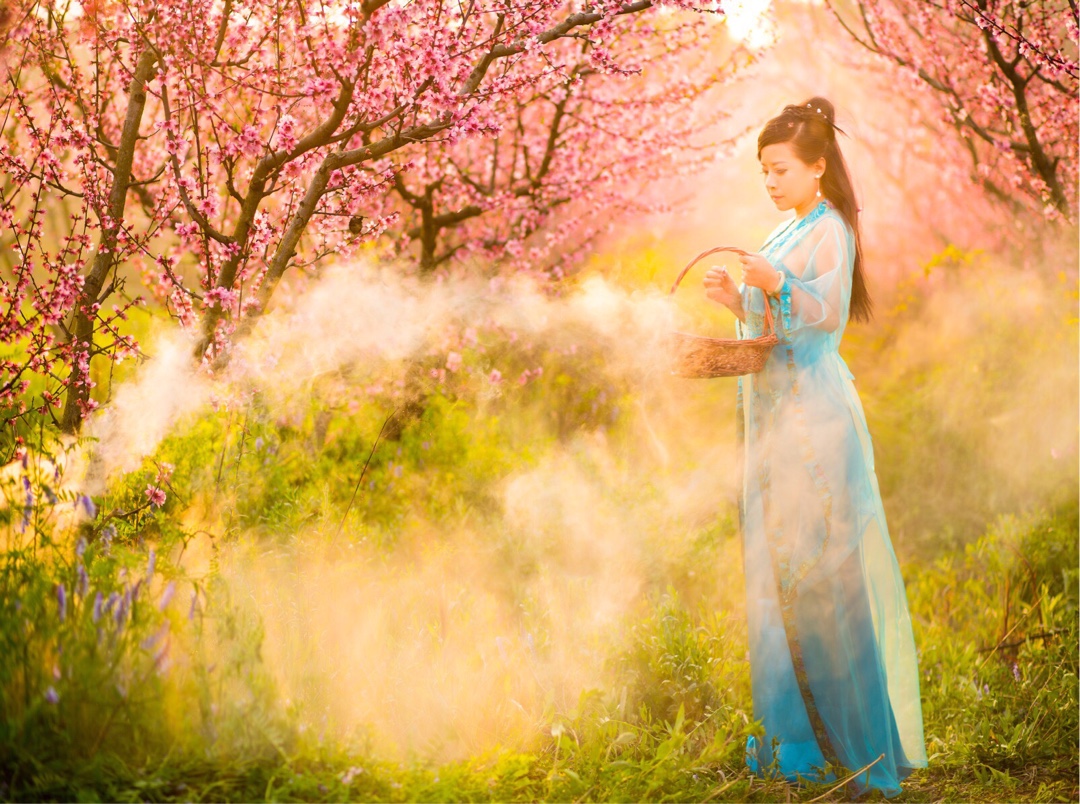 杨柳千寻色,桃花一苑芳