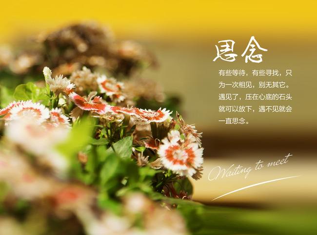 《我在想你你在哪》演唱:浅笑*安然