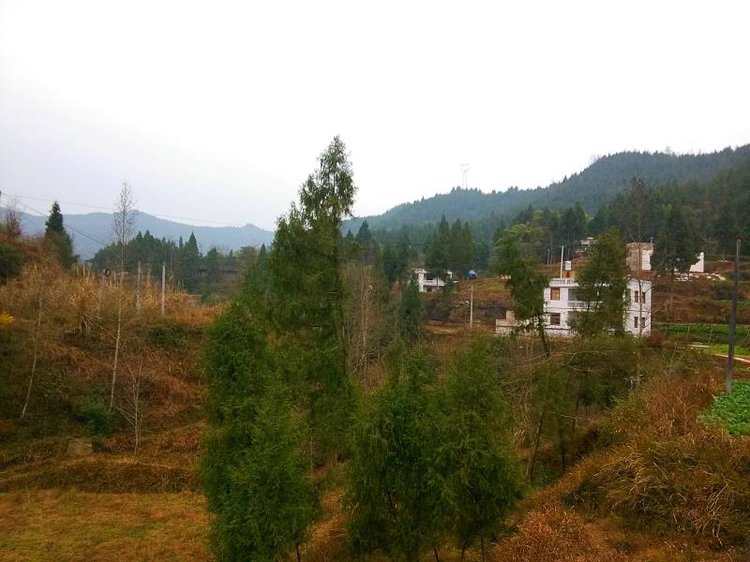 营山县通天乡 通天村