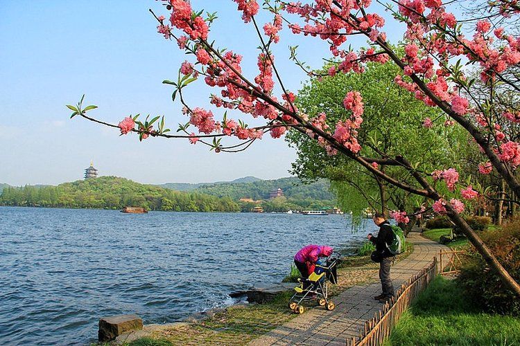 苏堤春晓百花艳(西湖十景之一)