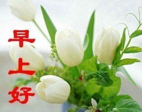 老同学,早上好!