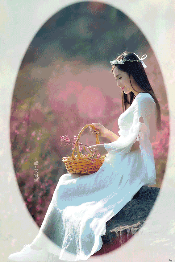 樱花树下的你一定像她们一样 风华绝代,艳压群芳 今年桂阳樱花节不