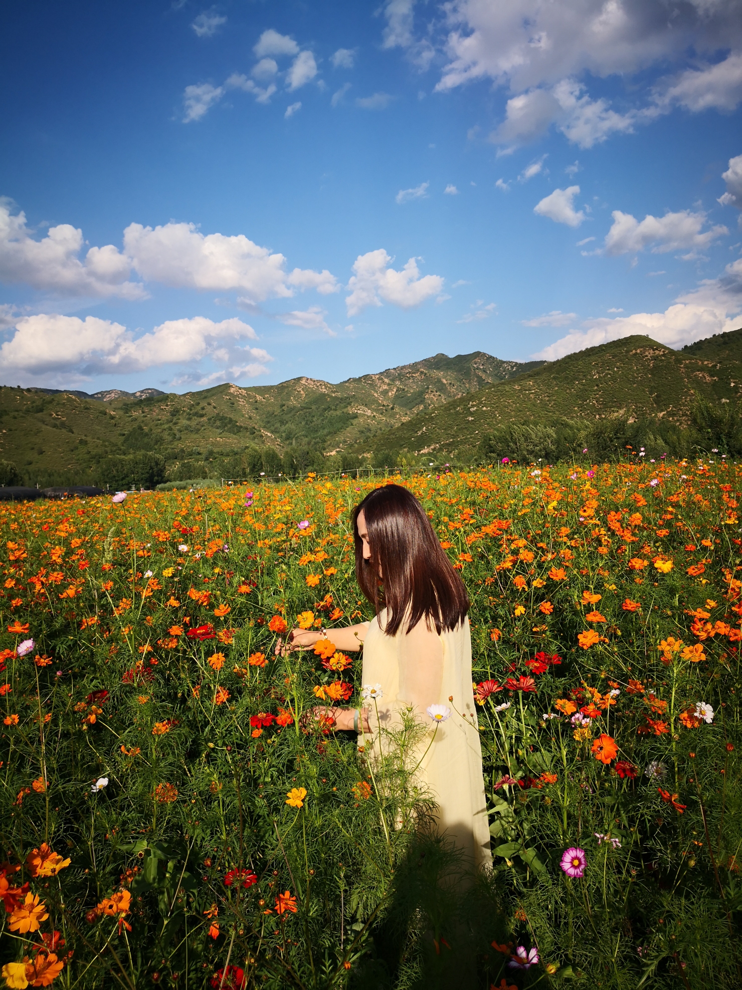 陌上花开