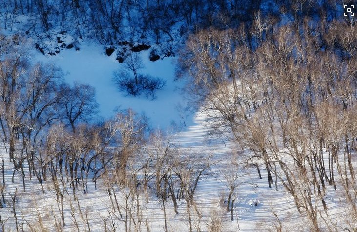 一个英雄,三个败类作者:刘家魁||朗诵:静静小河