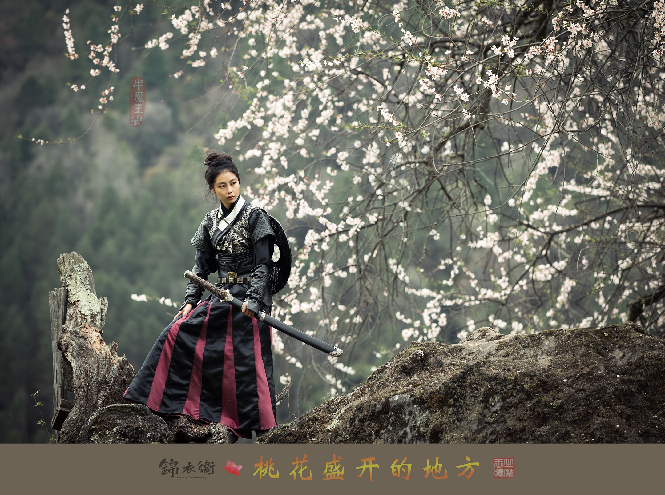 桃花盛开的地方