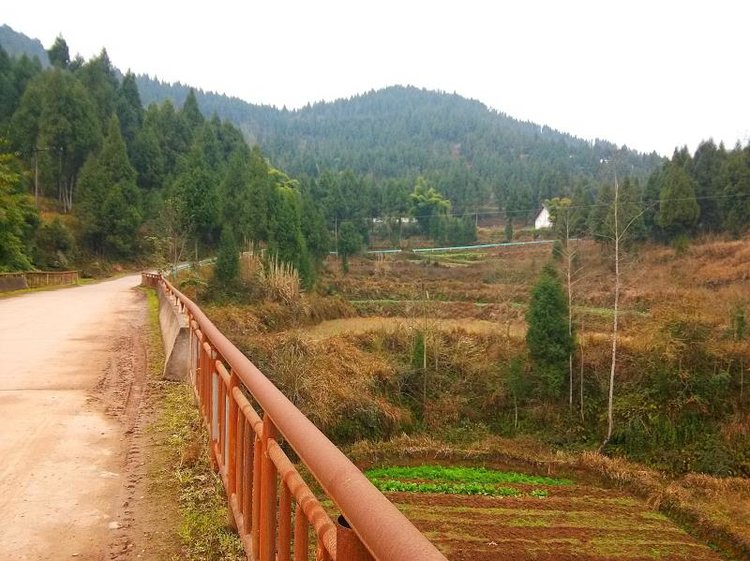 营山县通天乡 通天村