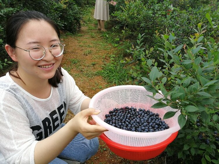 德孝中华周刊:我心中的最美乡村学校 德孝中华周刊:我心中的最美乡村学校