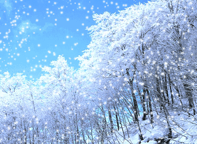 又飘雪了