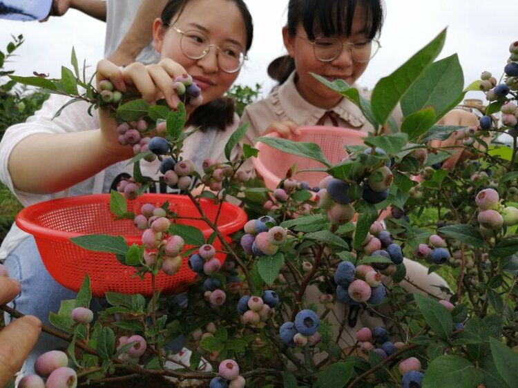 德孝中华周刊:我心中的最美乡村学校 德孝中华周刊:我心中的最美乡村学校