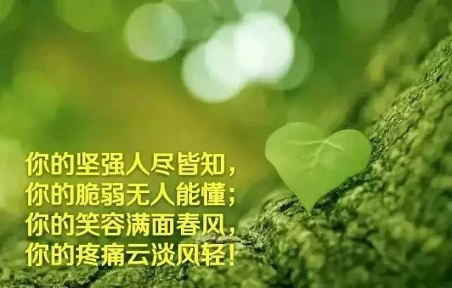 自己的路自己走,自己的心自己懂