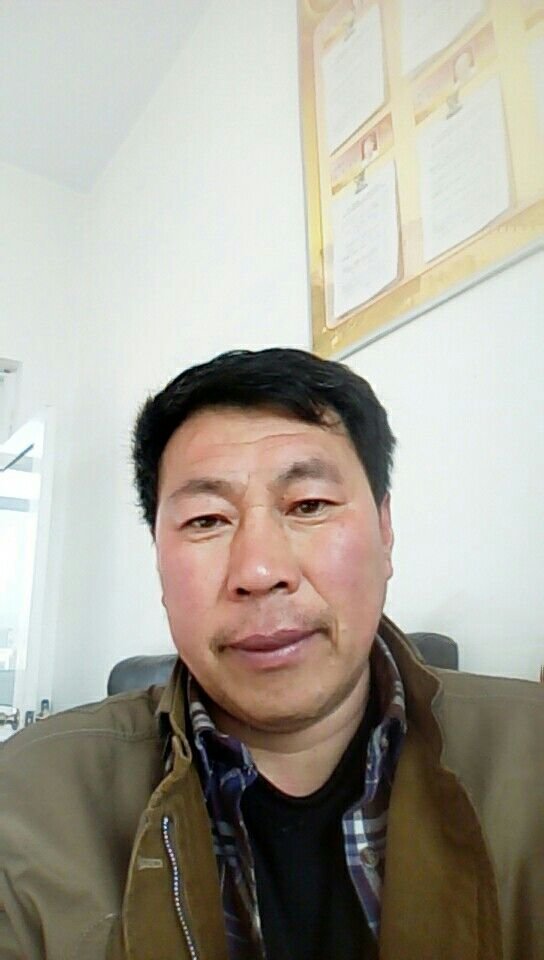 蒲公英,泡水喝可以养肝排毒抗肝病