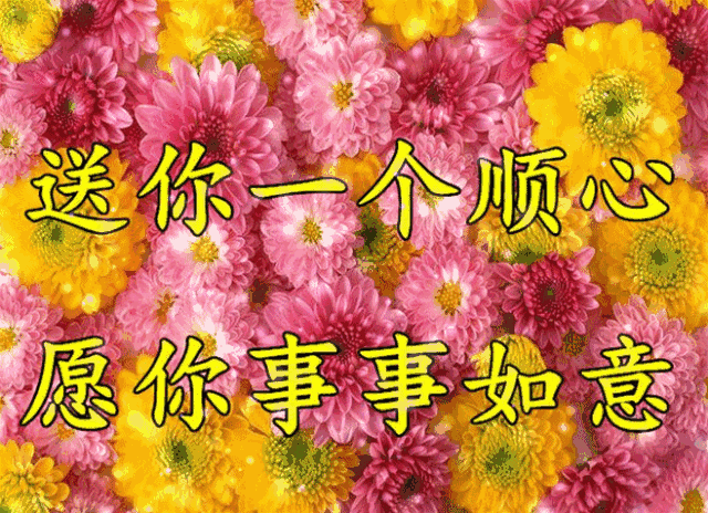 约会春天_立春祝福