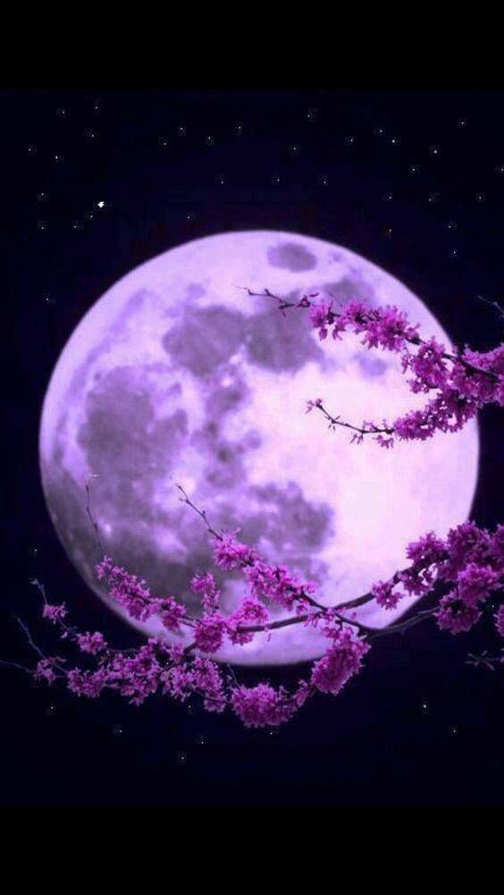 圆月夜现代 · 何其芳 诵读: 怡然温馨