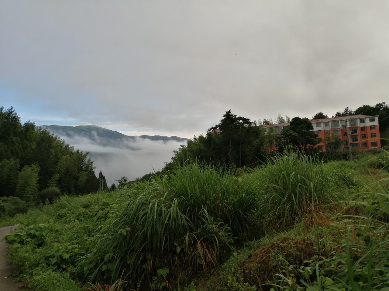 江西省靖安县中源乡三坪村休闲避暑地的美景