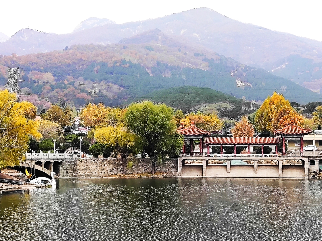 初冬泰安虎山公园美景 (手机版)