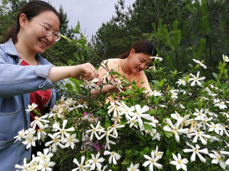 德孝中华周刊:我心中的最美乡村学校 德孝中华周刊:我心中的最美乡村学校