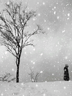 手机下雪动态壁纸_美女动态壁纸手机_唯美下雪图片动态壁纸