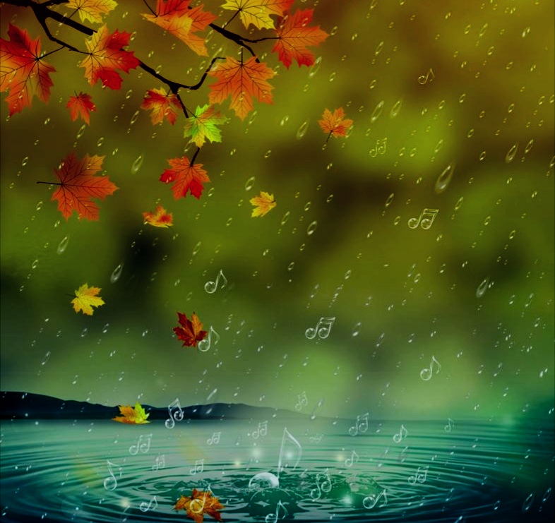 今岁秋雨累人心
