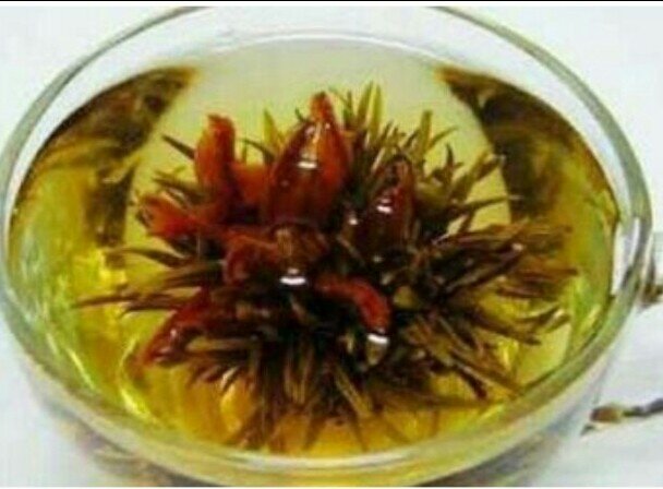 蒲公英,泡水喝可以养肝排毒抗肝病