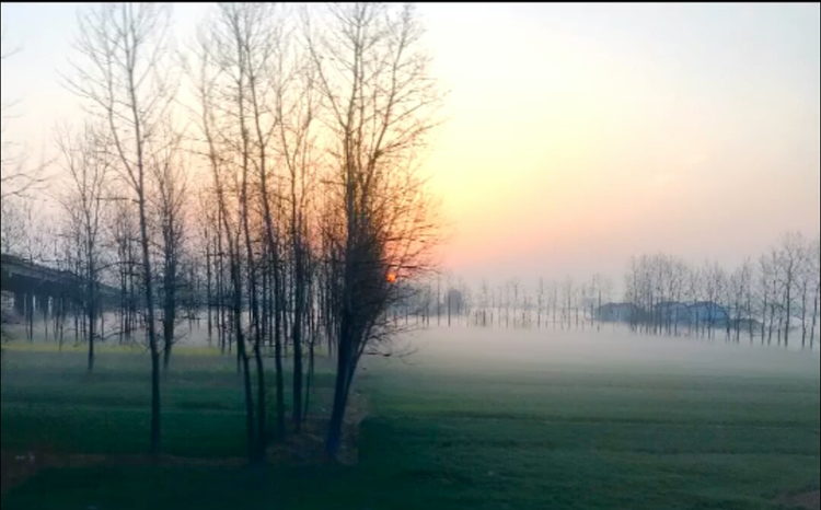 晨曦大地