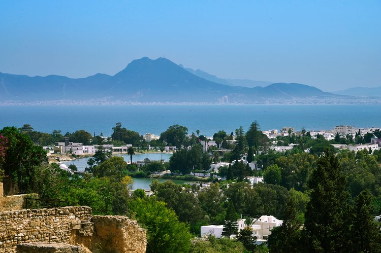 突尼斯 首都突尼斯 迦太基古城 蓝白小镇 安东尼