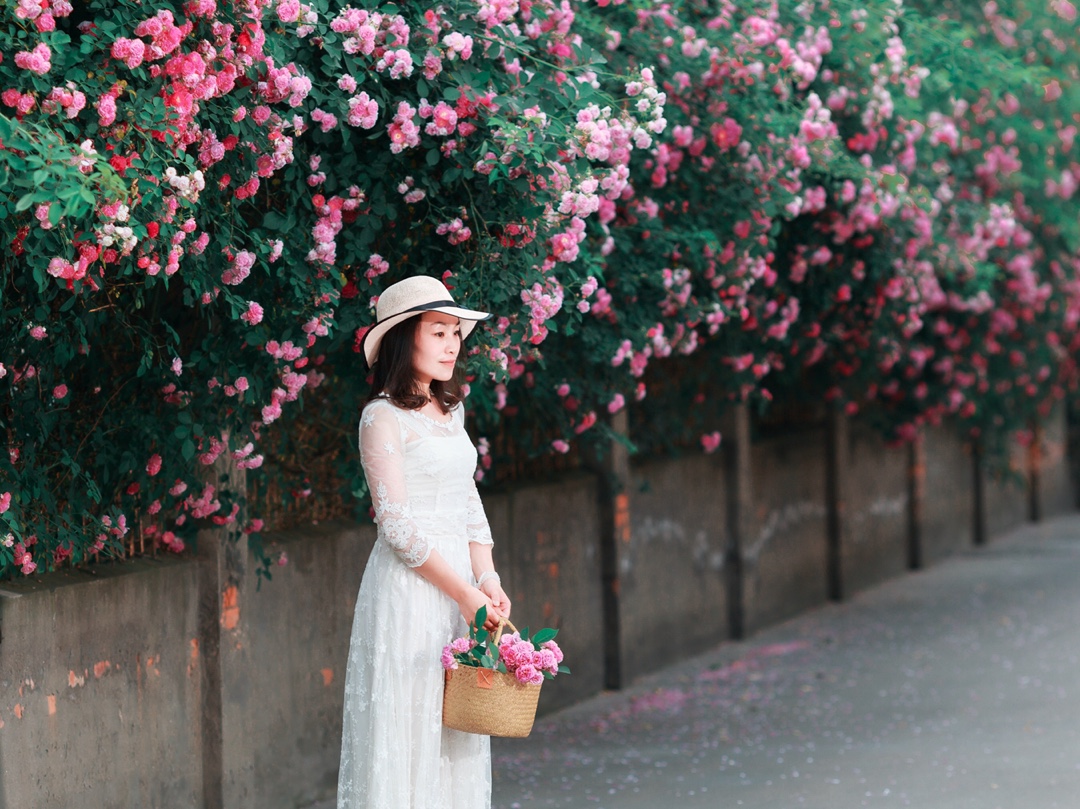 花开半夏,如诗如画.