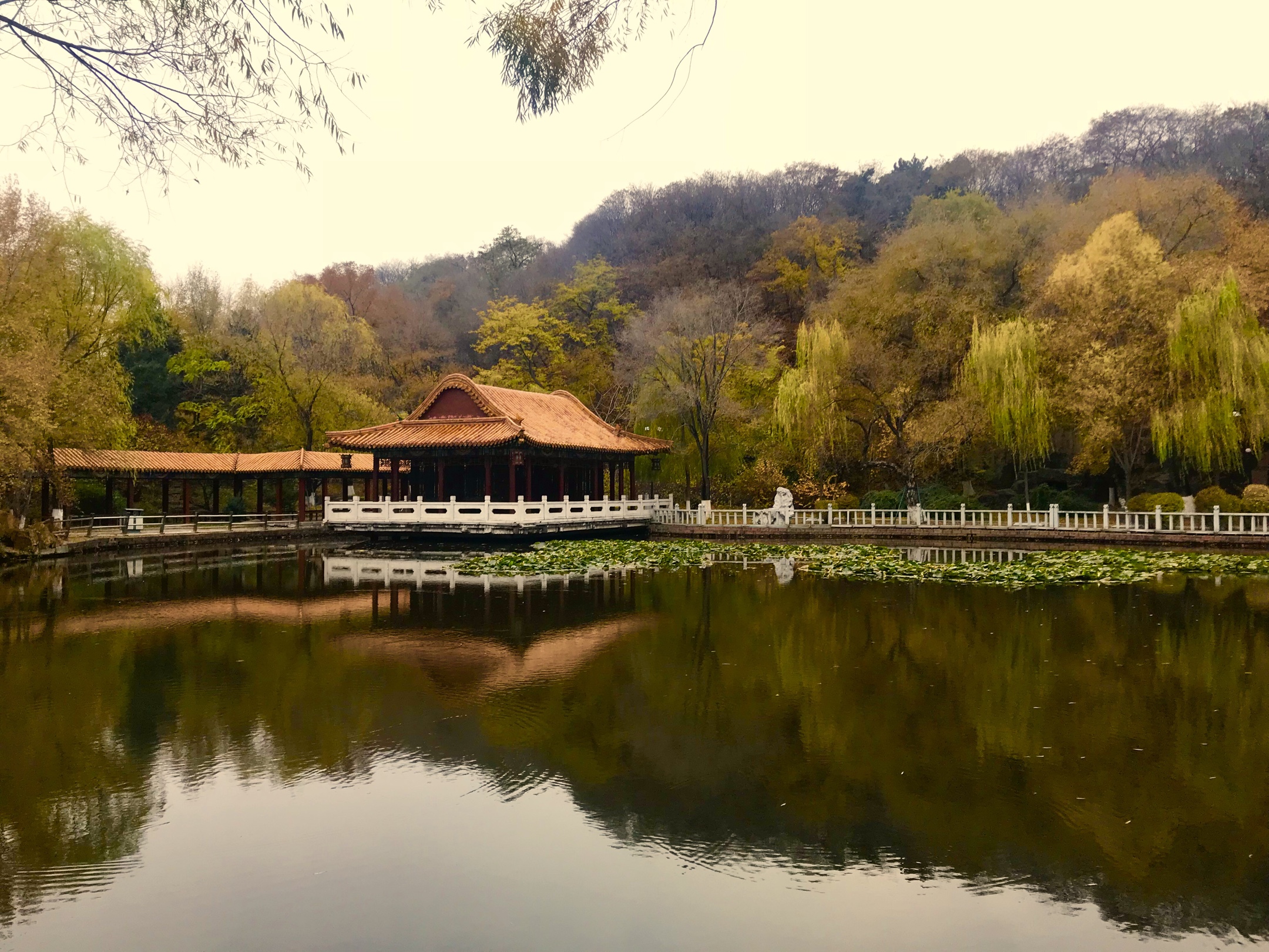 抚顺劳动公园