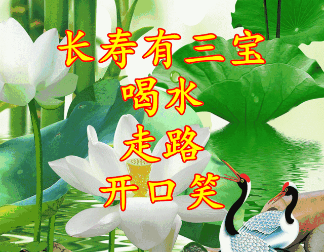 今天正月初九祝你健康长寿!