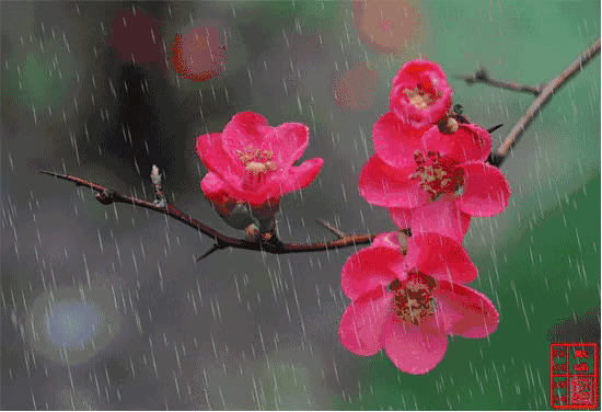 今日雨水,送你一场金钱雨!请及时接收!