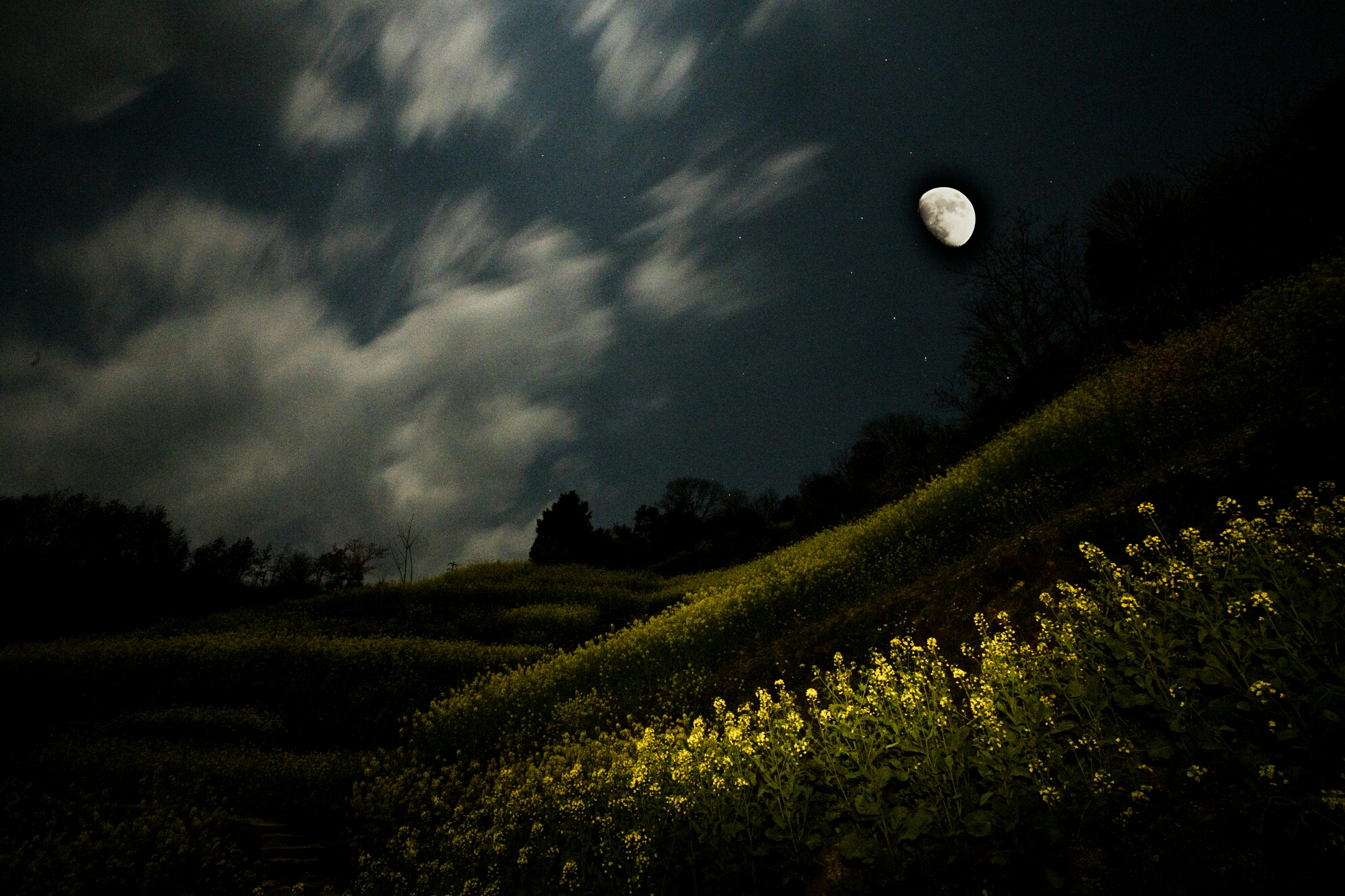 人闲桂花落夜静春山空