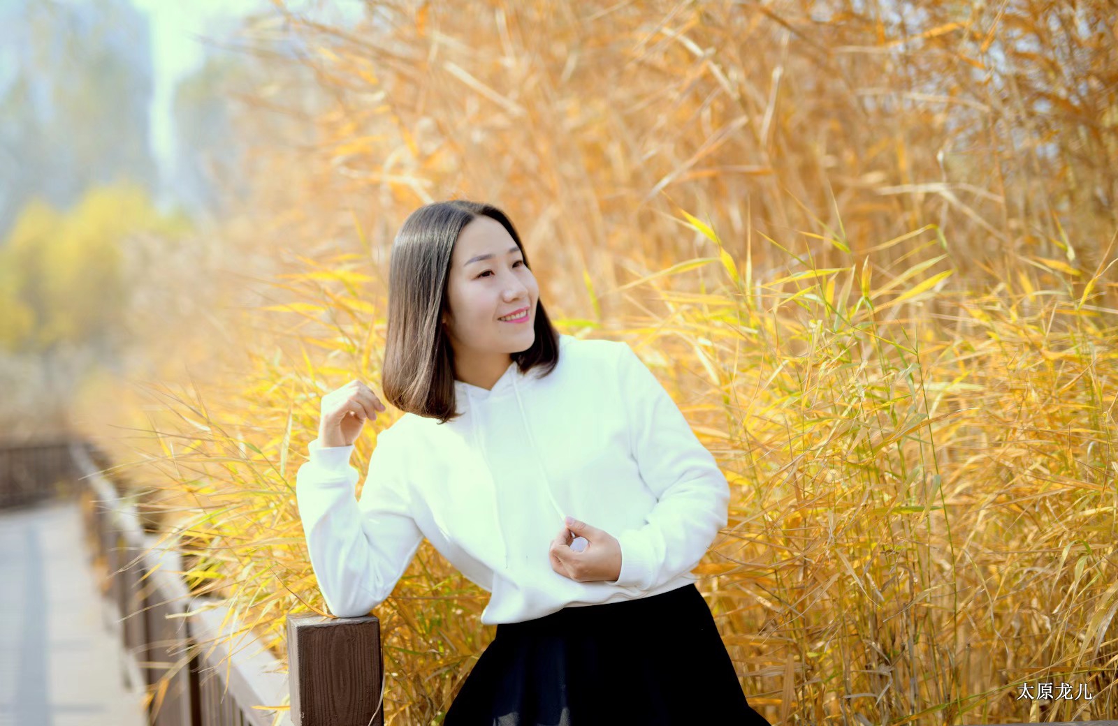 芦花花