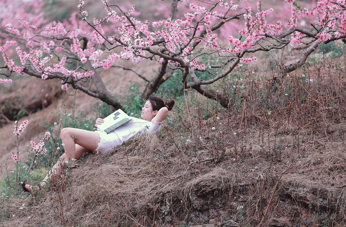 桃花坡上桃花女