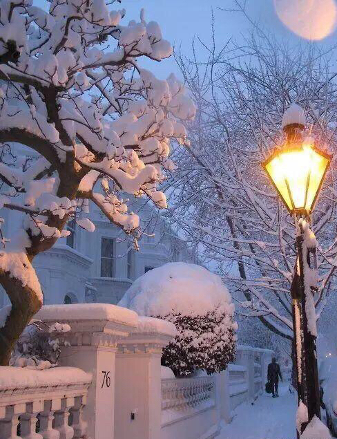窗外飘着雪