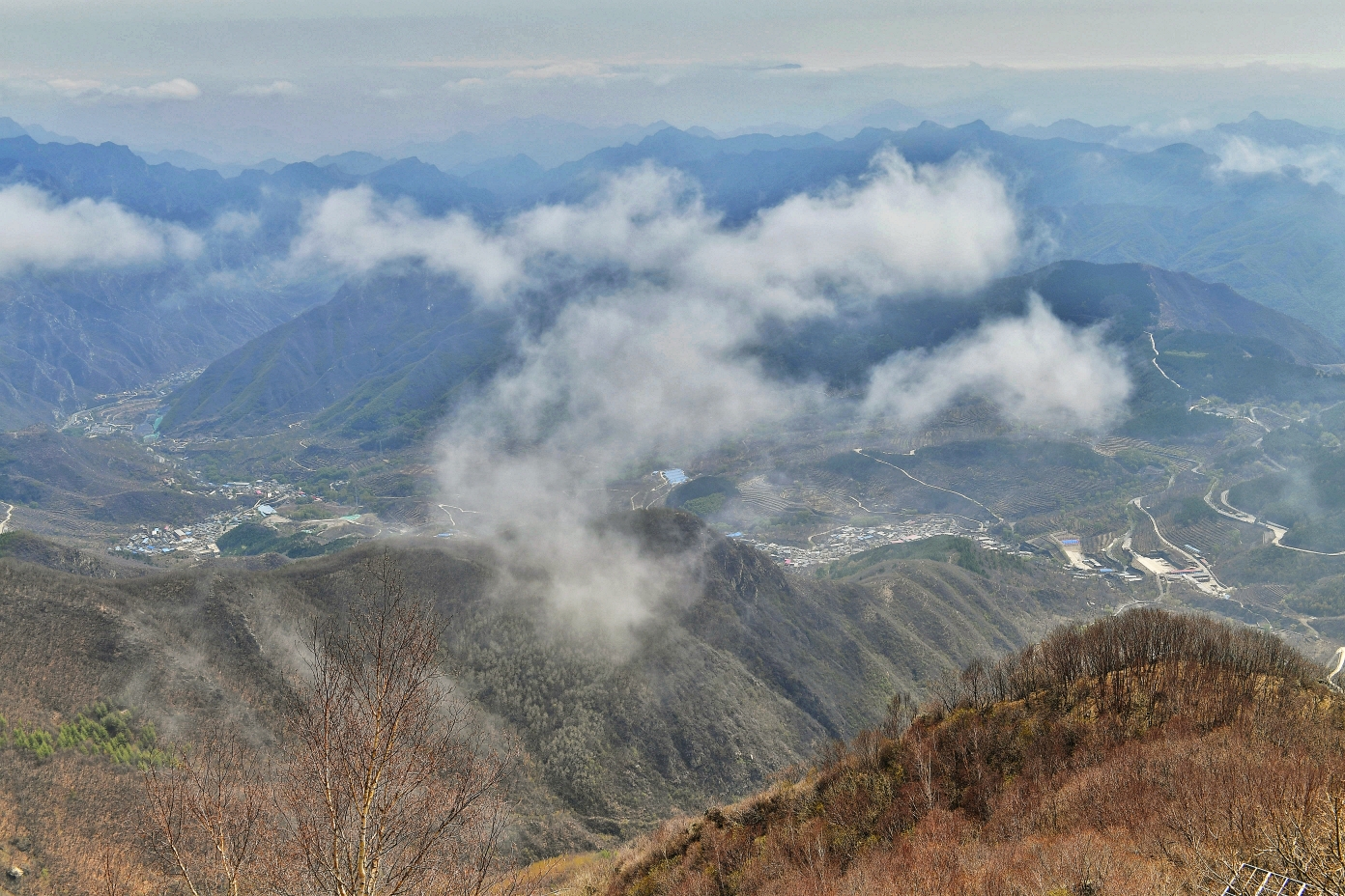 (仙境百花山)