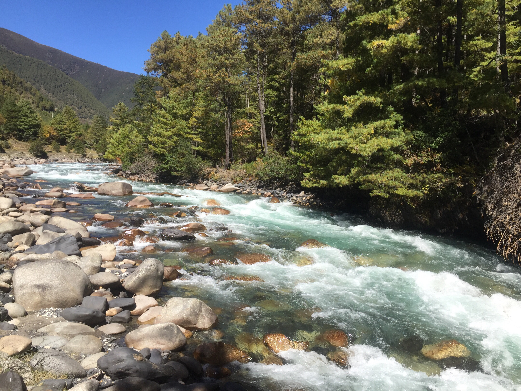 九龙河,川流不息,已经流淌了千年,养育着这块神奇的土地.