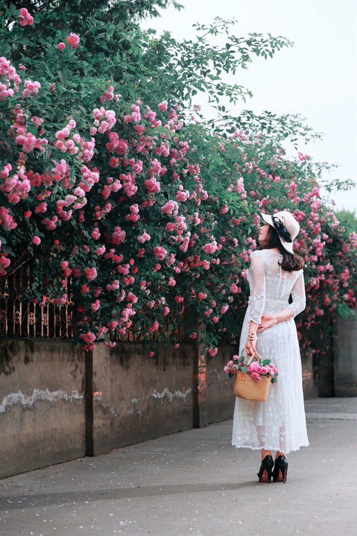 花开半夏,如诗如画.