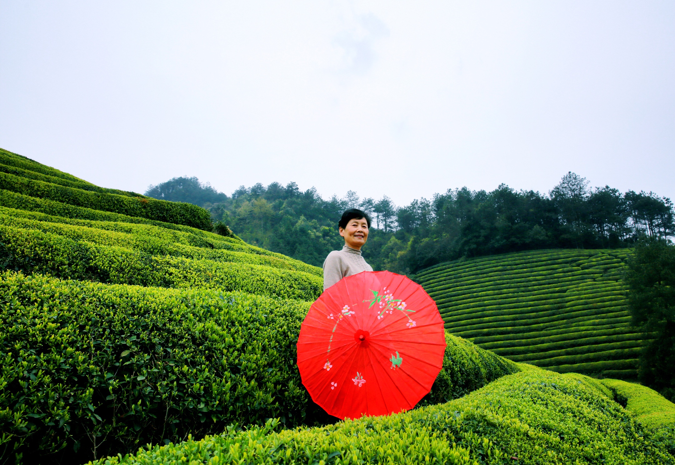 醉美白沙溪春色2019年3月31日摄于白沙溪畔琅琊镇辽头村皂里村间