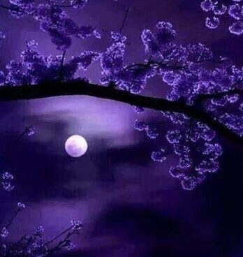 蛩鸣秋夜静 月是故乡明