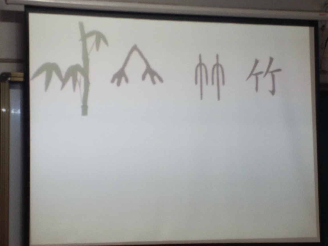 最后几分钟,通过文字的演变,指导学生认识并正确书写"竹"字.