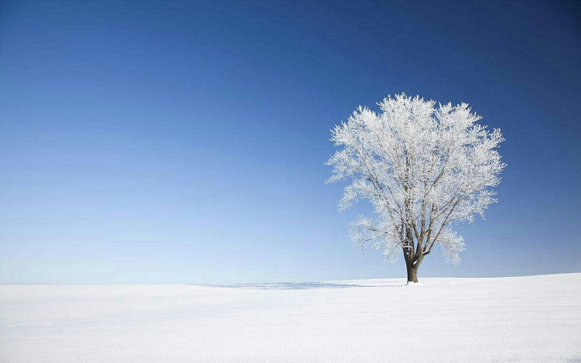 落雪的冬天