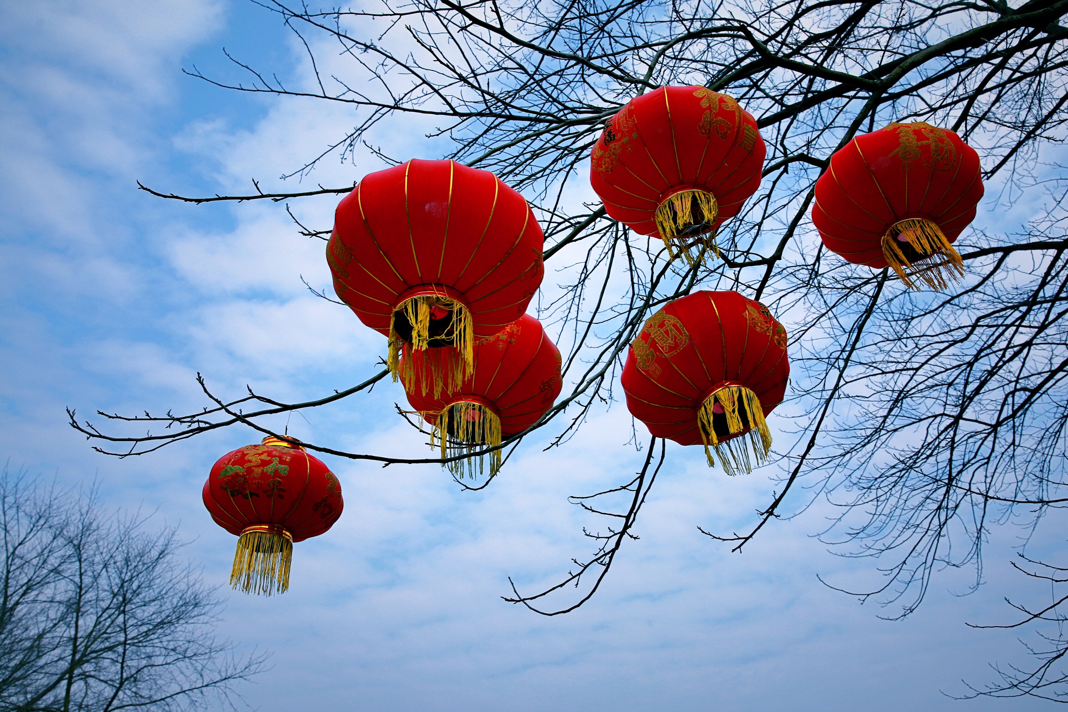 《大红灯笼高高挂》