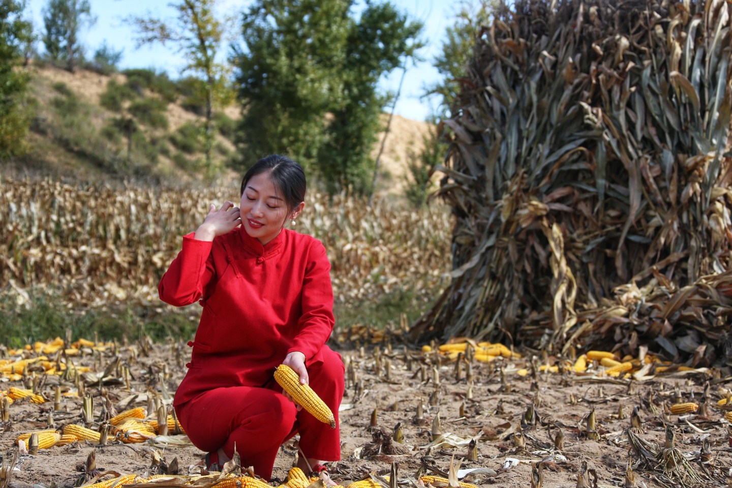 陕北婆姨