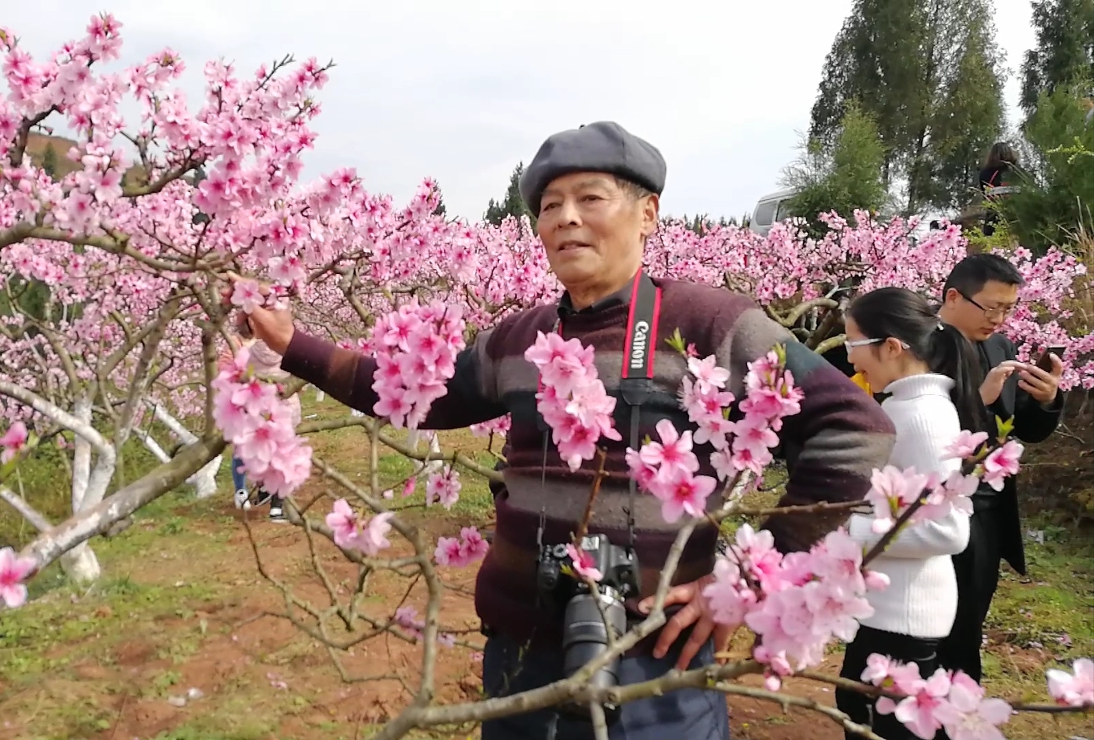 老教工歌舞团相约渠县新市镇第四届桃花节,踏青赏花