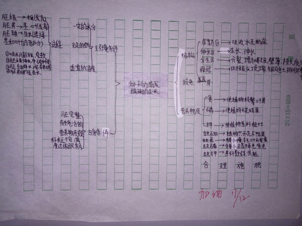 顺着思路,绘出脉络清晰的思维导图