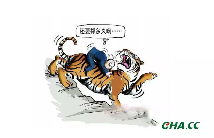 骑虎难下 图片来源网络